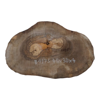 Plaster Orzecha Włoskiego 45x30x4cm