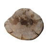 Plaster Orzecha Włoskiego 35x29x4cm