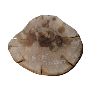 Plaster Orzecha Włoskiego 35x29x4cm
