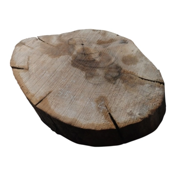 Plaster Orzecha Włoskiego 35x29x4cm