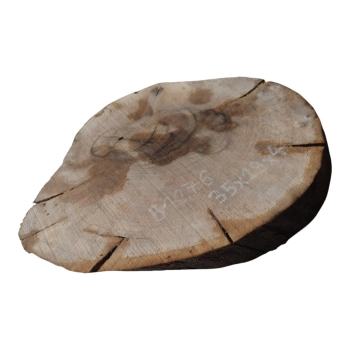 Plaster Orzecha Włoskiego 35x29x4cm