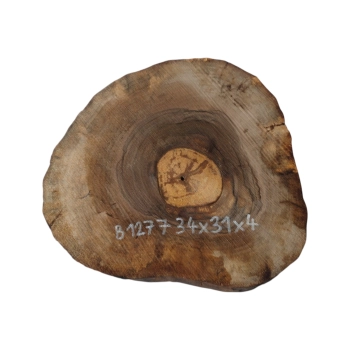 Plaster Orzecha Włoskiego 34x31x4cm