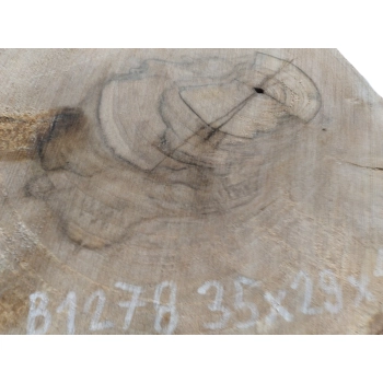 Plaster Orzecha Włoskiego 35x29x4cm