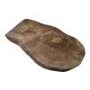 Plaster Orzecha Włoskiego 48x25x4cm
