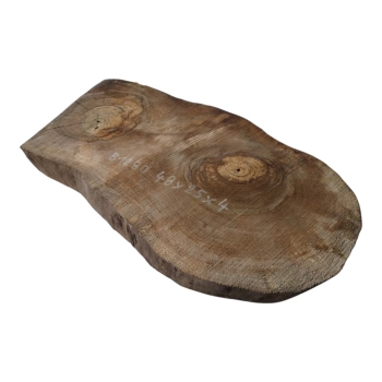Plaster Orzecha Włoskiego 48x25x4cm