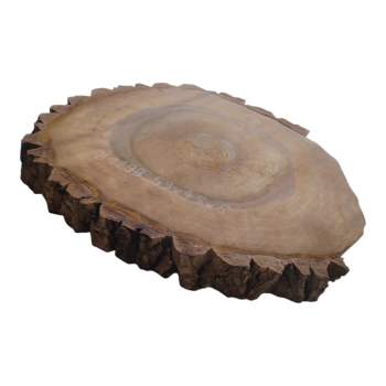 Plaster Orzecha Włoskiego 53x45x6cm