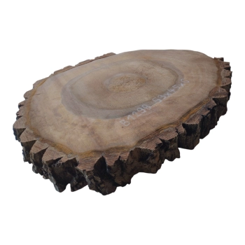 Plaster Orzecha Włoskiego 53x45x6cm