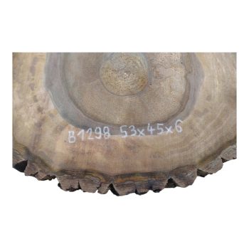 Plaster Orzecha Włoskiego 53x45x6cm