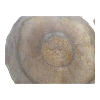 Plaster Orzecha Włoskiego 53x45x6cm