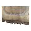 Plaster Orzecha Włoskiego 55x47x6cm