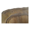 Plaster Orzecha Włoskiego 55x47x6cm