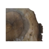 Plaster Orzecha Włoskiego 55x47x6cm