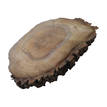 Plaster Orzecha Włoskiego 55x47x6cm