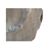 Plaster Orzecha Włoskiego 55x47x7cm
