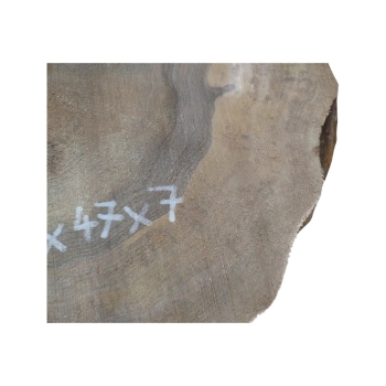 Plaster Orzecha Włoskiego 55x47x7cm