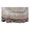 Plaster Orzecha Włoskiego 53x45x6cm
