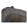 Plaster Orzecha Włoskiego 53x45x6cm