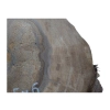 Plaster Orzecha Włoskiego 53x45x6cm
