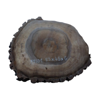 Plaster Orzecha Włoskiego 53x45x6cm