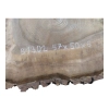 Plaster Orzecha Włoskiego 47x50x6cm