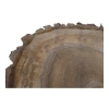 Plaster Orzecha Włoskiego 47x50x6cm