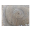 Plaster Orzecha Włoskiego 47x50x6cm