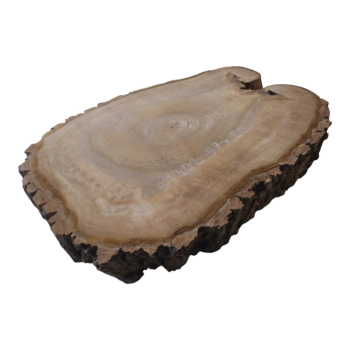 Plaster Orzecha Włoskiego 47x50x6cm