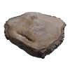 Plaster Orzecha Włoskiego 56x57x7cm
