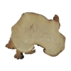 Plaster Akacji 32x25x3cm