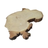 Plaster Akacji 32x25x3cm