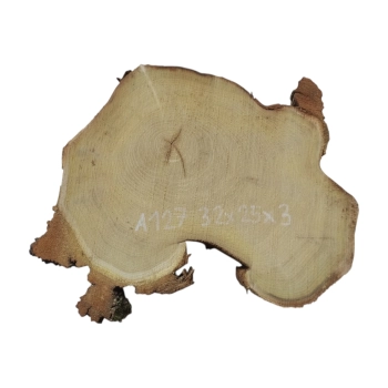 Plaster Akacji 32x25x3cm
