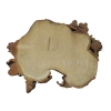 Plaster Akacji 32x24x3cm