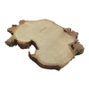 Plaster Akacji 32x24x3cm