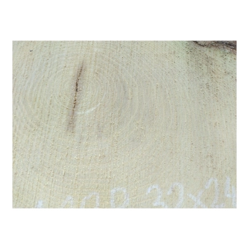 Plaster Akacji 32x24x3cm