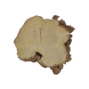Plaster Akacji 32x28x3cm