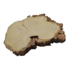 Plaster Akacji 32x28x3cm