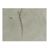 Plaster Akacji 32x28x3cm