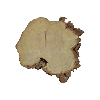 Plaster Akacji 32x28x3cm