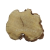 Plaster Akacji 30x25x3cm