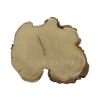 Plaster Akacji 30x25x3cm