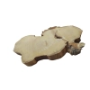 Plaster Akacji 41x23x3cm