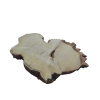 Plaster Akacji 38x26x3cm