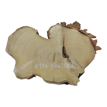 Plaster Akacji 38x26x3cm
