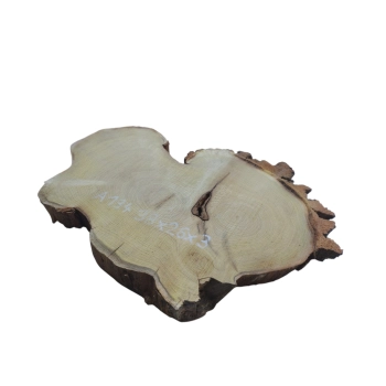 Plaster Akacji 38x26x3cm