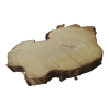 Plaster Akacji 35x26x3cm