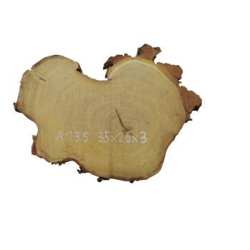 Plaster Akacji 35x26x3cm