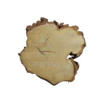 Plaster Akacji 30x30x3cm