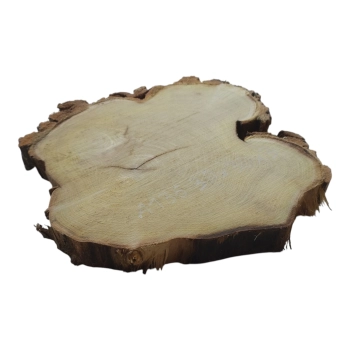 Plaster Akacji 30x30x3cm