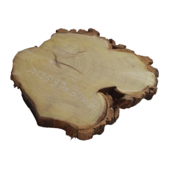 Plaster Akacji 30x30x3cm
