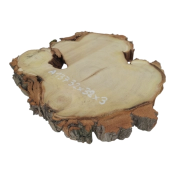 Plaster Akacji 32x32x3cm